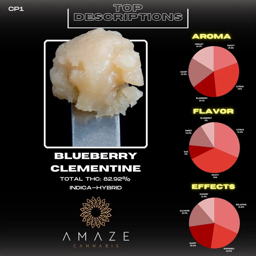Amaze Blueberry Clementine slide 1