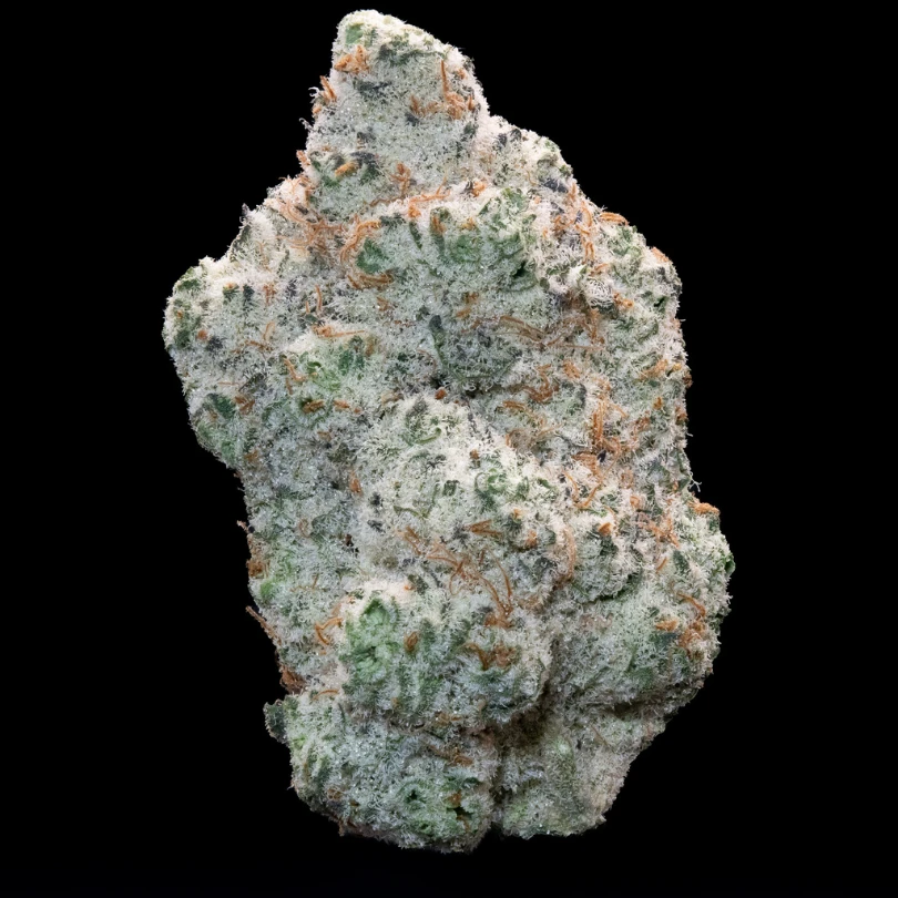 Sundro Lemon Oreoz slide 1