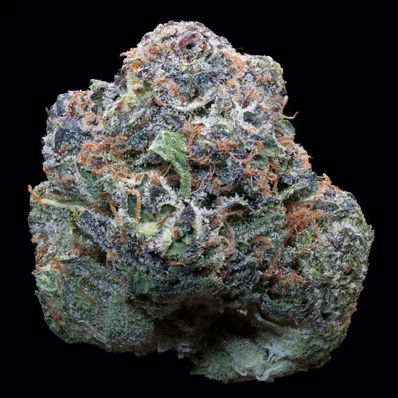 C4 Lemon Drip slide 1
