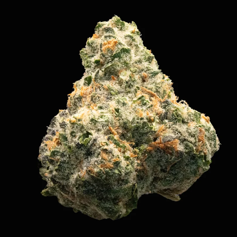 Robust Tahiti Lime slide 1