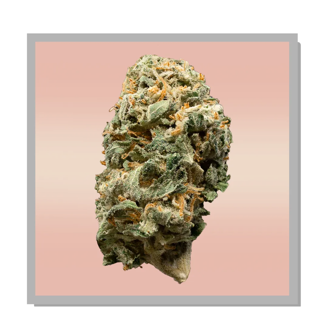 Orange Runtz by Robust