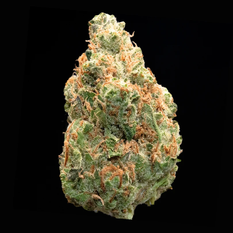 Illicit GMO Cookies slide 1