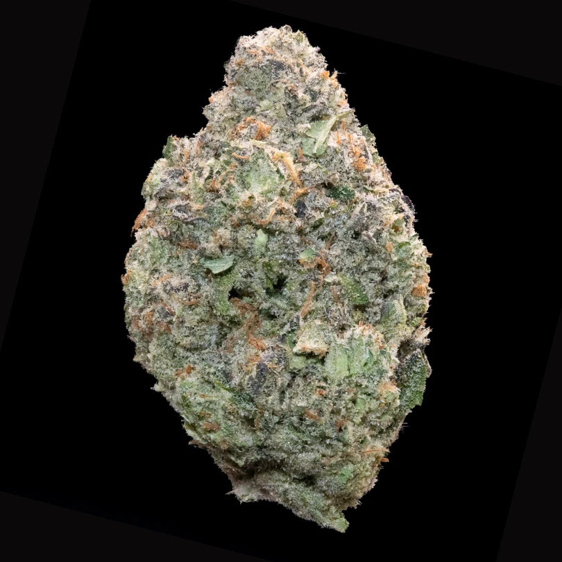 Vibe Guava Tart slide 1