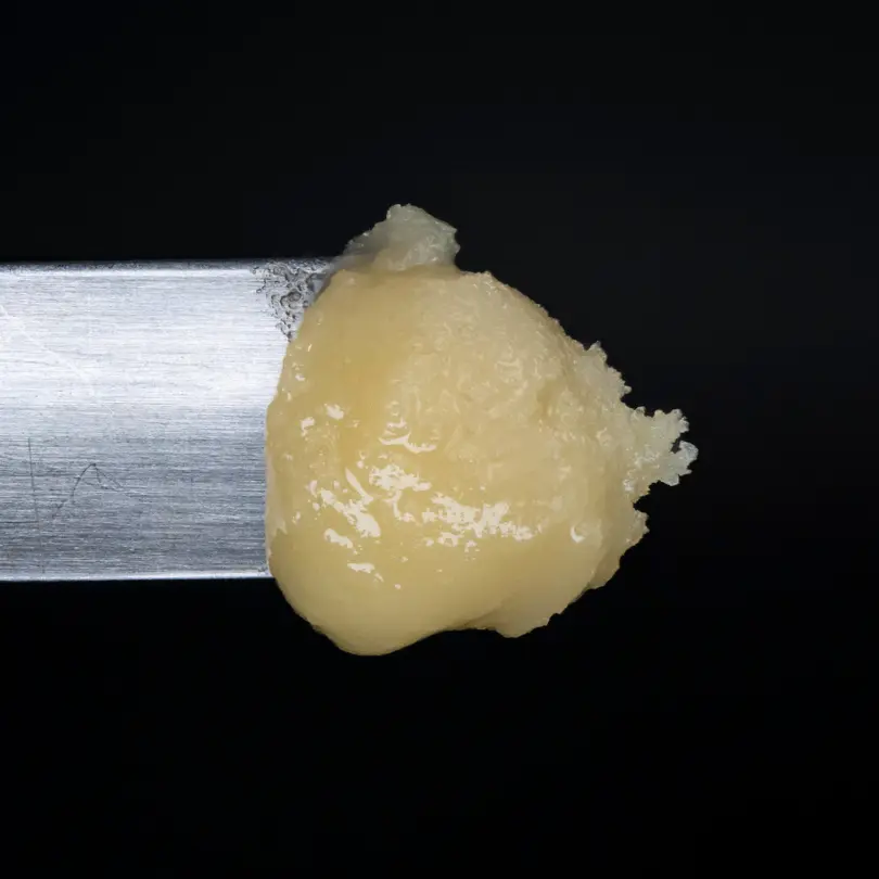 Robust Orange Runtz slide 1